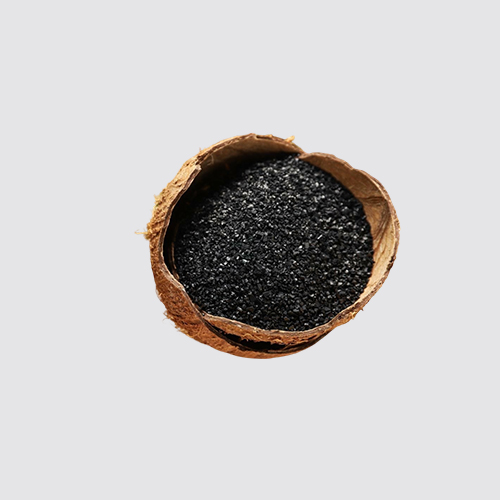 Coconut Shell Activated Carbon